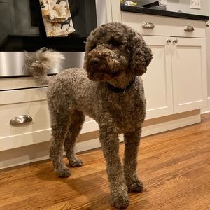 Meet your Posher, Claire